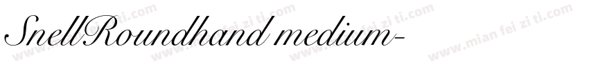 SnellRoundhand medium字体转换